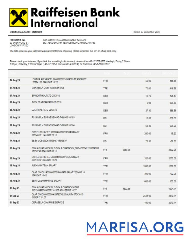 Realistic Raiffeisen Bank International Bank International company statement Word and PDF template